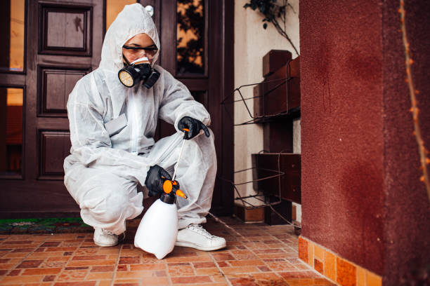 Reliable Cockroach Control contractor in Idylwood, VA by Nex Pest Control